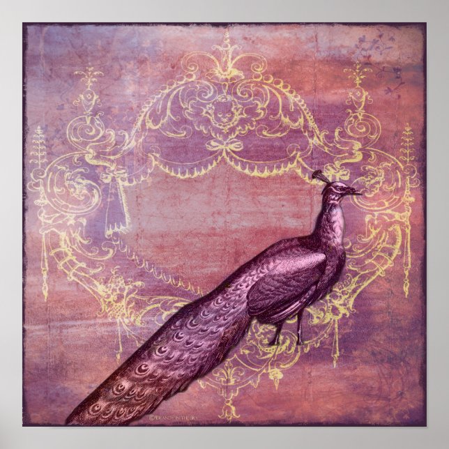 Rococo Impresión de pavo real morado de Francia (Frente)