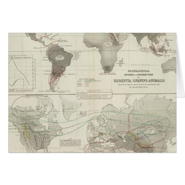 Rodentia, Ruminantia (Anverso (Horizontal))