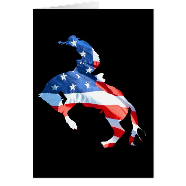 Rodeo es Estados Unidos - Bronco Riding (Frente)