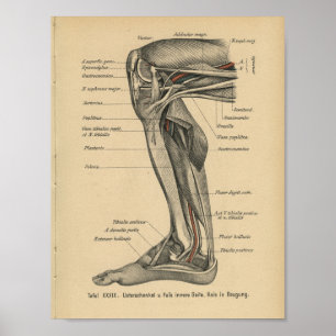 Rodilla de la pierna de la impresión de la