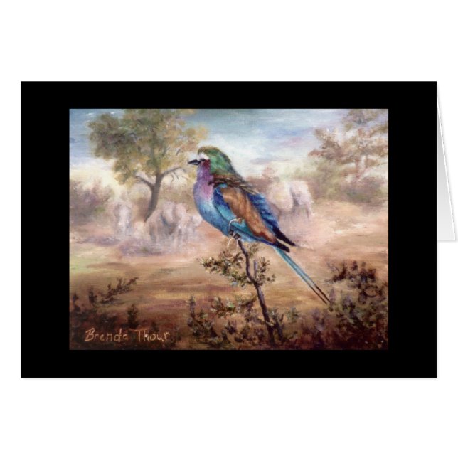 Rodillo africano (Anverso (Horizontal))