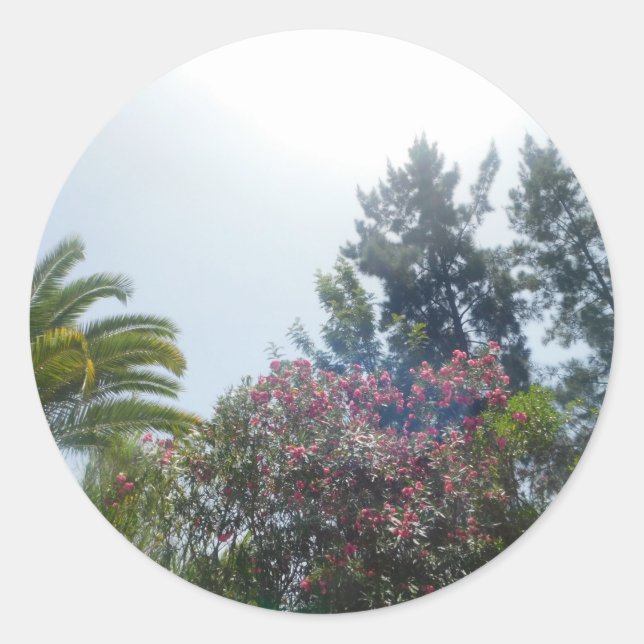 RODILLO DE PEGATINAS  (Anverso)