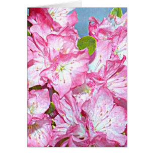 Rododendro de costa de Washington
