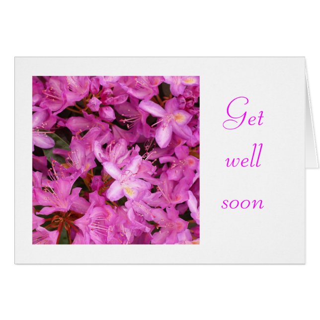 rododendrón (Anverso (Horizontal))