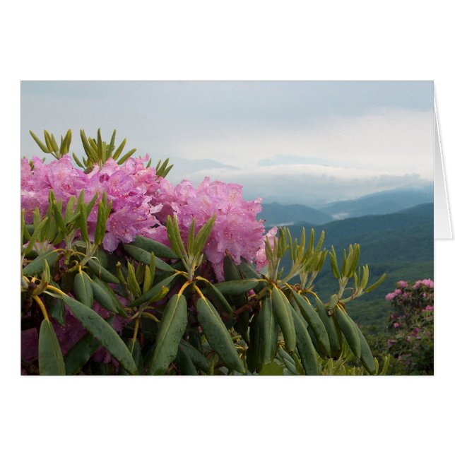 Rododendros (Anverso (Horizontal))