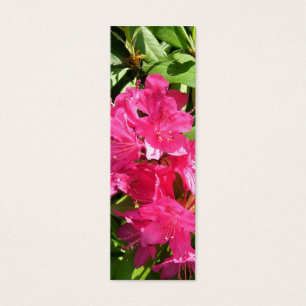 rododendros rosas e iris azul