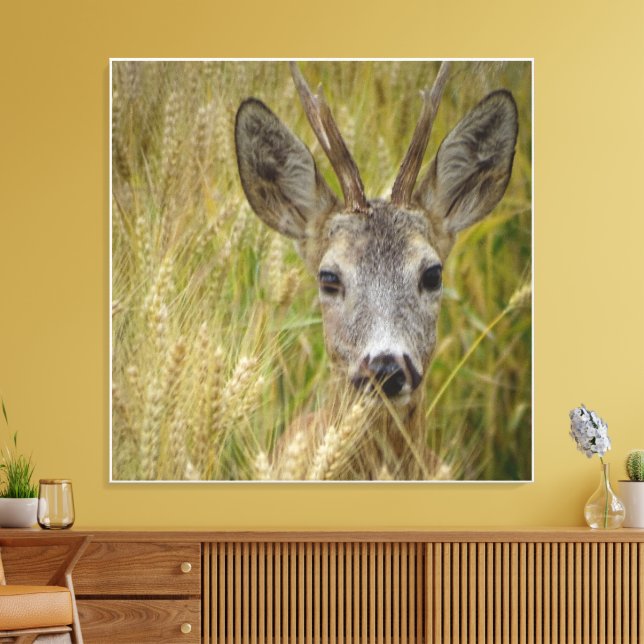 Roe Deer in Wheat Field - Impresión fotográfica so (Insitu (Sala de estar))