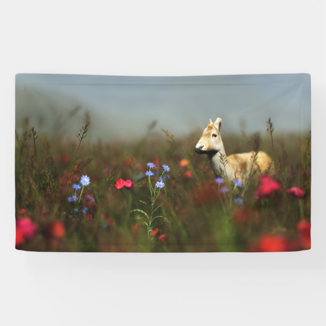 Roe en una pancarta de Meadow (Horizontal)