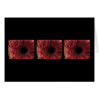 Rojo antiguo (trío)