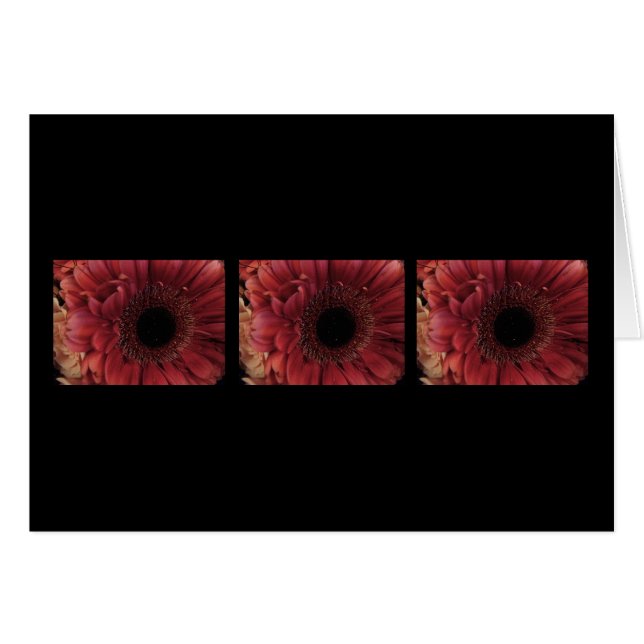 Rojo antiguo (trío) (Anverso (Horizontal))