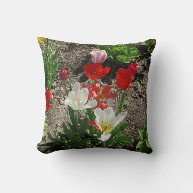 Rojo, blanco, almohada de tulipanes rosados (Anverso)