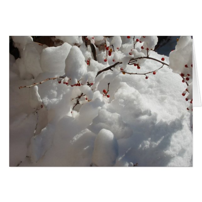 Rojo, blanco y frío (Anverso (Horizontal))