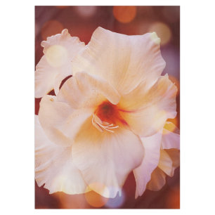 Rojo Bokeh del lirio de espada del mantel