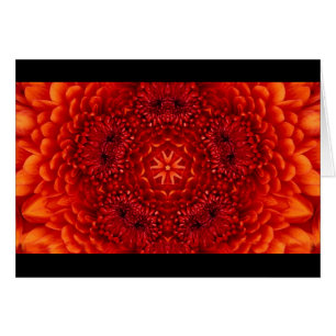 ROJO DAHLIA FLOWER PETALS