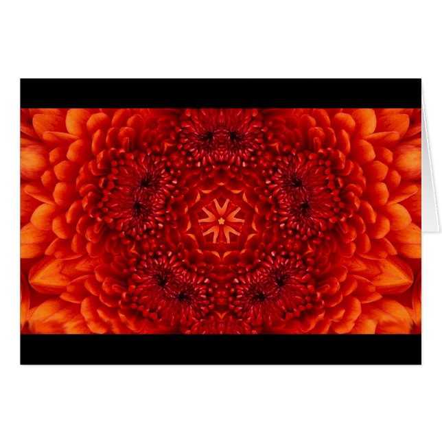 ROJO DAHLIA FLOWER PETALS (Anverso (Horizontal))