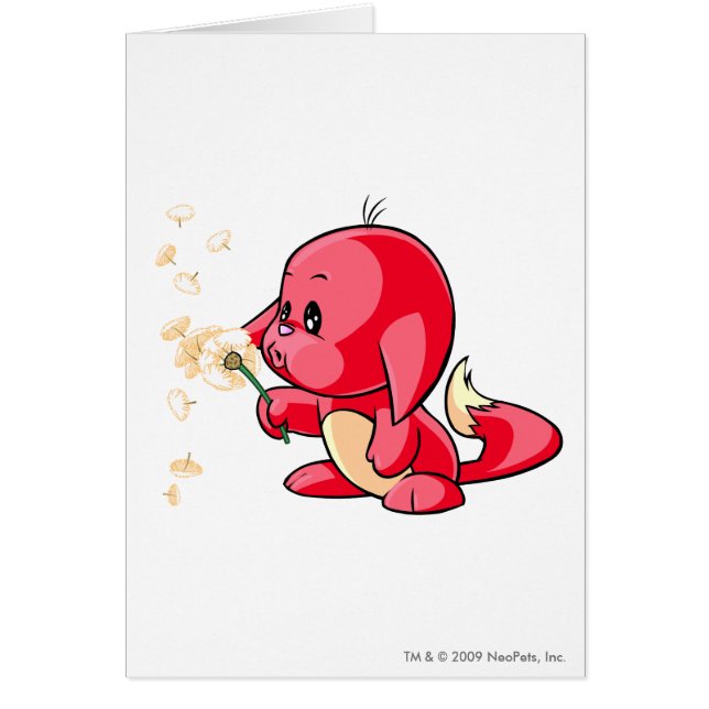 Rojo de Kacheek (Frente)