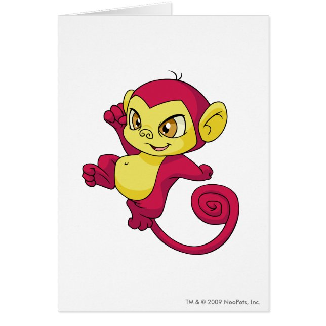 Rojo de Mynci (Frente)