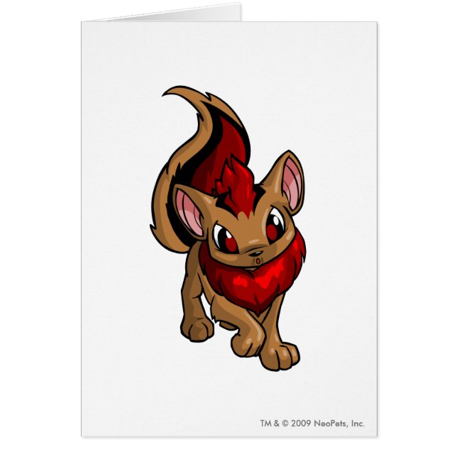 Rojo de Xweetok (Frente)