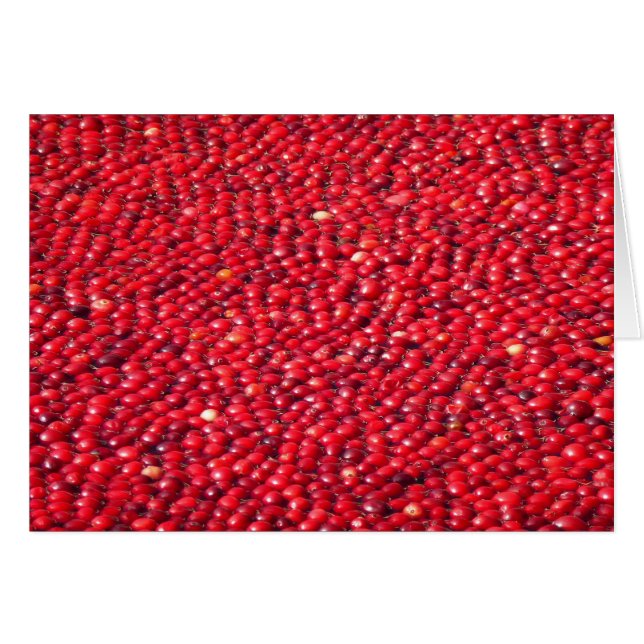 Rojo festivo de Cranberries (Anverso (Horizontal))