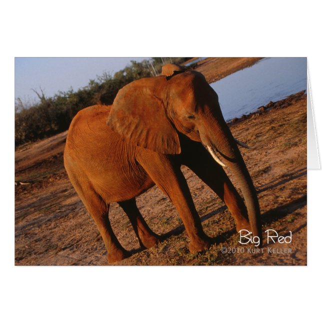 Rojo grande (Anverso (Horizontal))