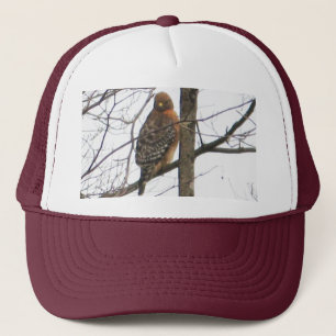 Rojo-llevó a hombros A.C. el gorra del halcón