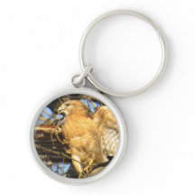 Rojo-llevó a hombros el llavero del halcón