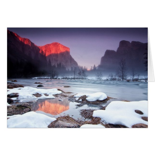 Rojo omega (Anverso (Horizontal))