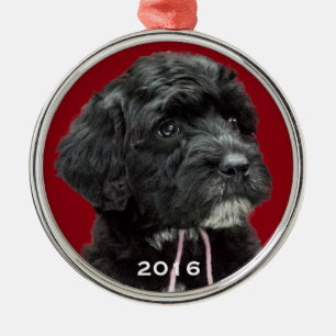 Rojo portugués del ornamento del perro de agua