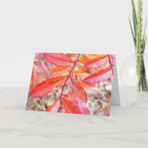 Rojo y tarjeta anaranjada de las hojas - orilla de