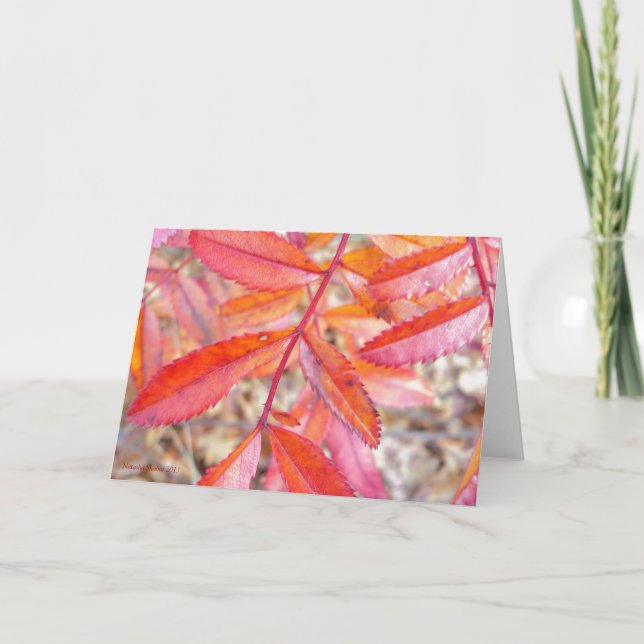 Rojo y tarjeta anaranjada de las hojas - orilla de (Anverso)