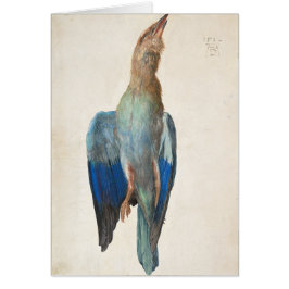 Roller azul muerto de Albrecht Durer