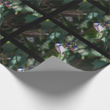 Rollo de Papel de Regalo de Carbonero de Gorra Neg