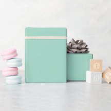 Rollo de papel de regalo sólido Light Teal