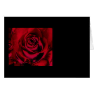 Romance de las tarjetas, amor, coqueto