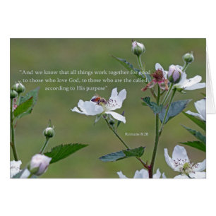 Romanos 8:28