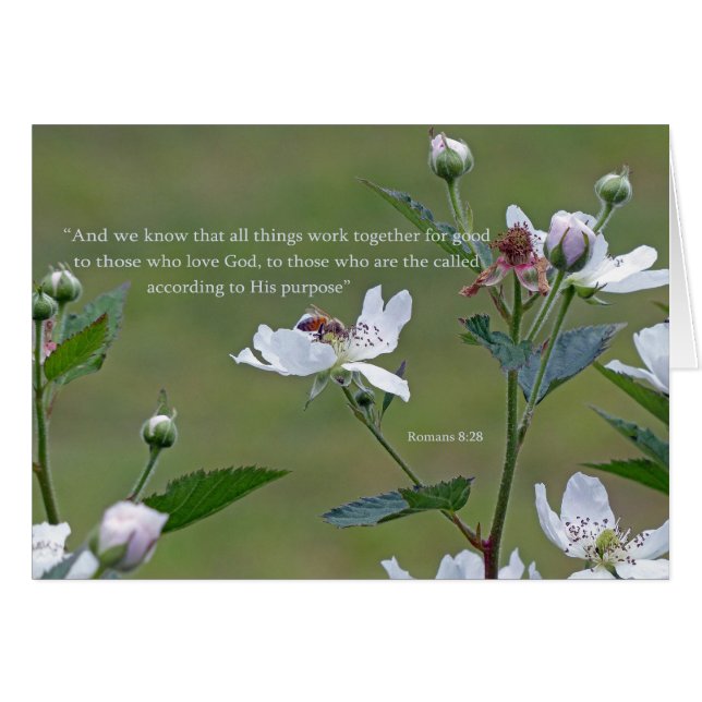 Romanos 8:28 (Anverso (Horizontal))