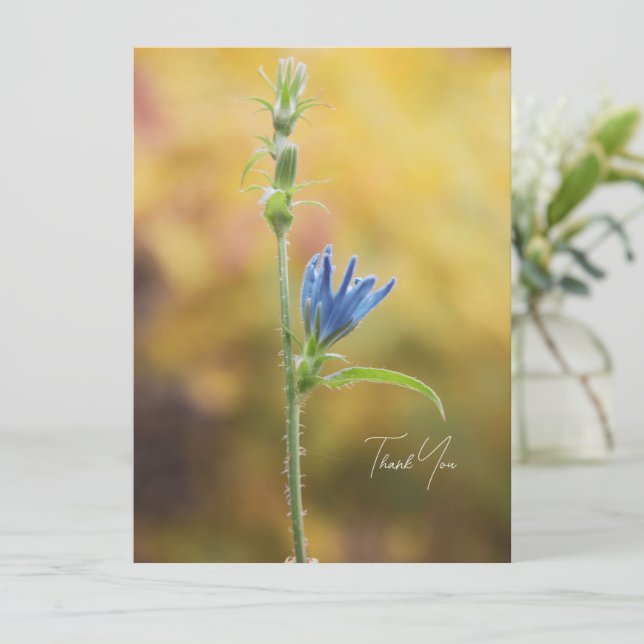 Romantic Trees & Flowers – Botanical Fantasy Boho (Anverso de pie)