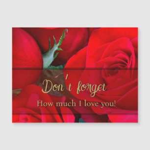 Romántico Red Rose Valentine Magnet