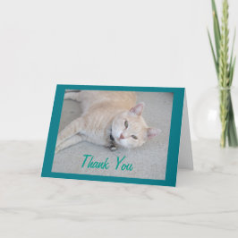 Romeo El Gato Gracias Tarjeta De Saludo