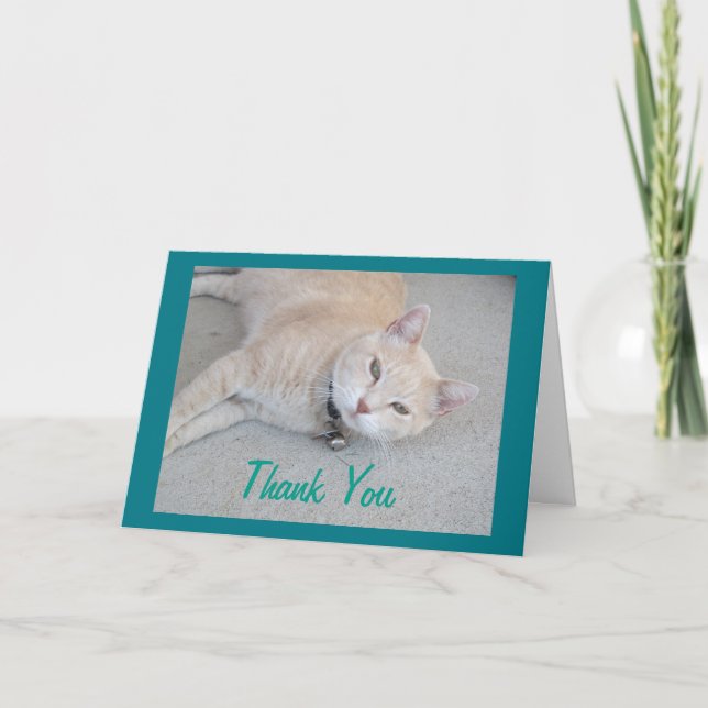 Romeo El Gato Gracias Tarjeta De Saludo (Anverso)