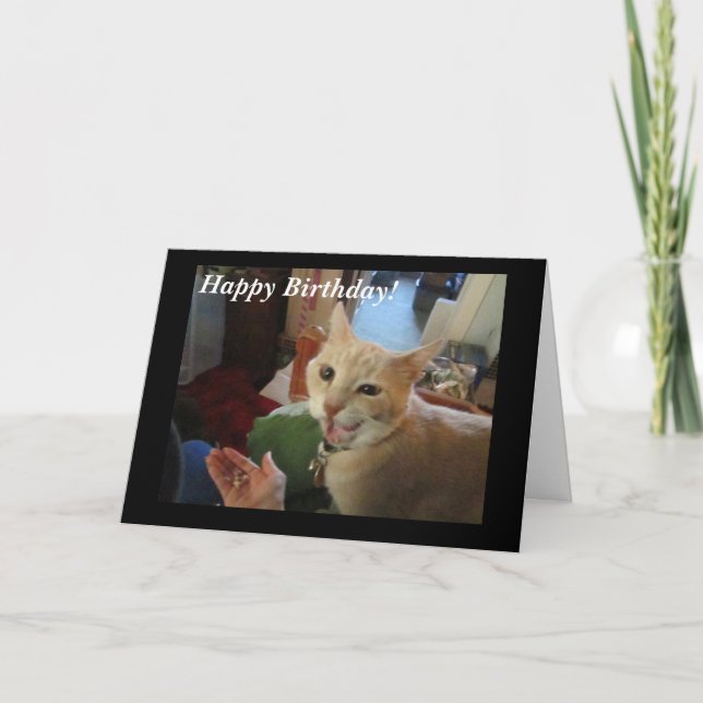 Romeo la tarjeta del feliz cumpleaños del gato (Anverso)