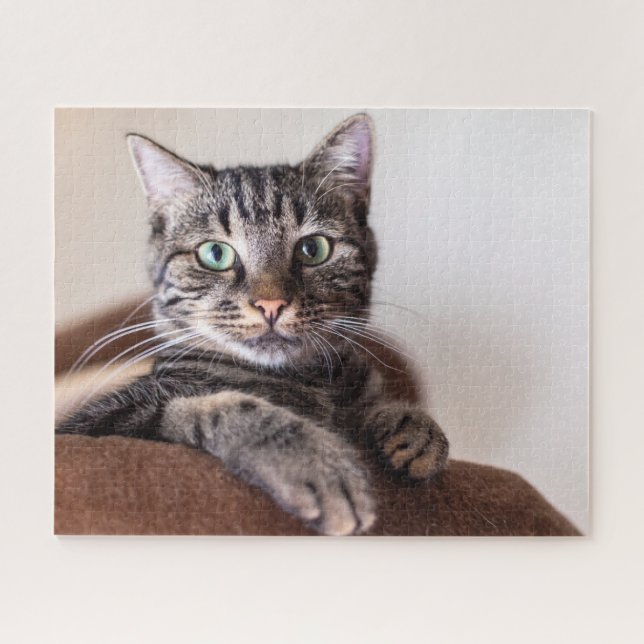 Rompecabezas (Horizontal)