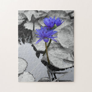 Rompecabezas 10 x 14
