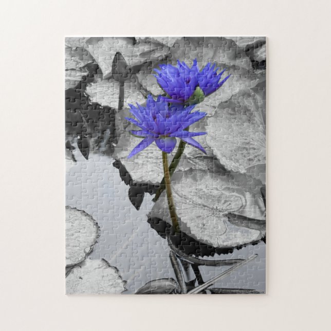 Rompecabezas 10 x 14 (Vertical)