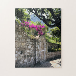 Rompecabezas 11 x 14