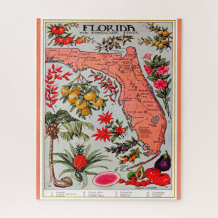 Rompecabezas 16x20 Florida's Bounty