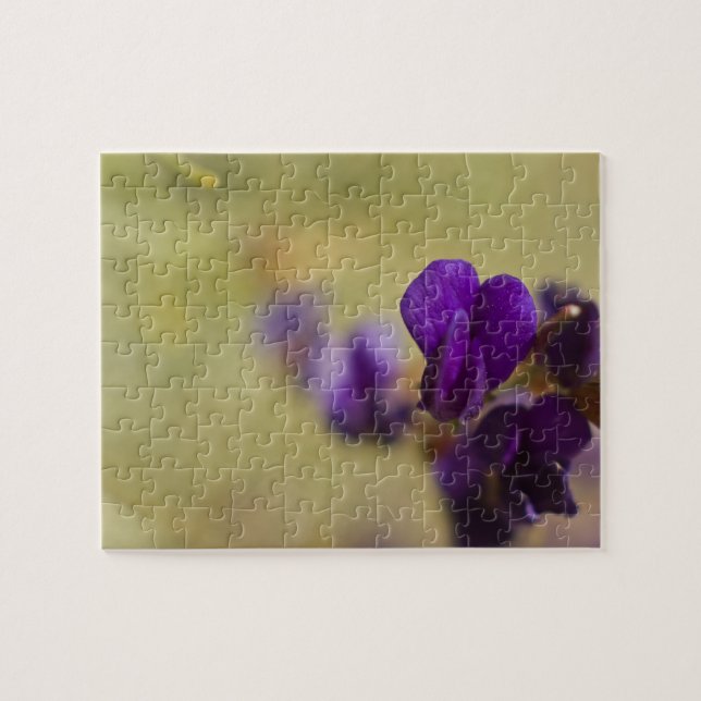 Rompecabezas 3 (Horizontal)