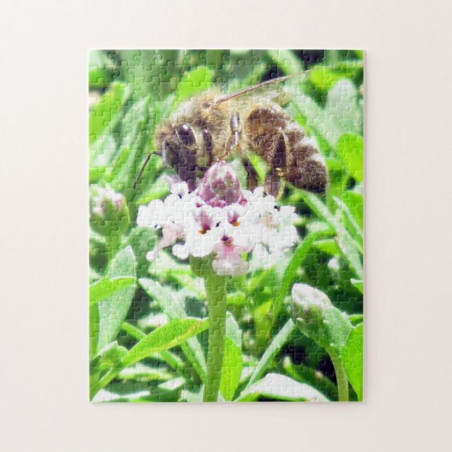 Rompecabezas - Abeja (Vertical)