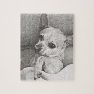Rompecabezas acogedor de la chihuahua