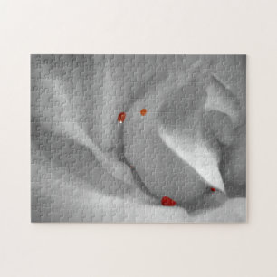 Rompecabezas acuático eoliano